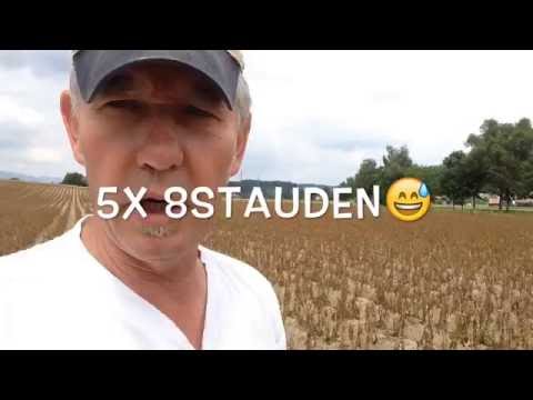 Ernteschätzung Pflanzkartoffeln