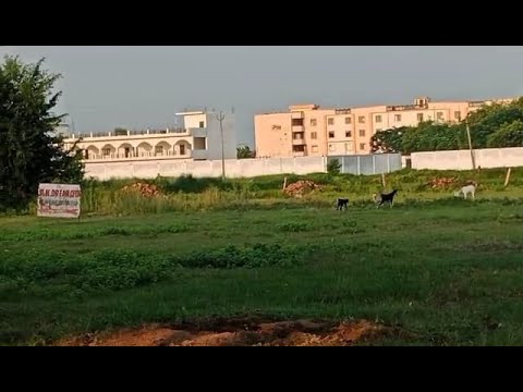 Residential Plot 📍 Township Near Kashi Institute of Technology, Khalispur, Mi... Varanasi