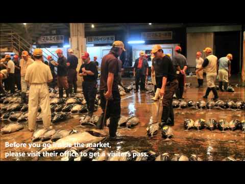 The Early Morning Fish Market at Tomari Fishing Port