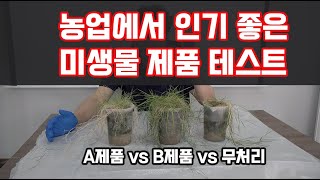농업용 미생물 테스트!! 시장에서 인기 좋은 2개 제품으로 테스트 하였습니다!! 과연 효과차이가 있을까??