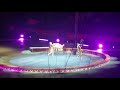 Ringling Brothers Circus
