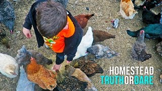 Homestead Truth or Dare