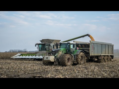 Corn harvest 2020 !!! 
