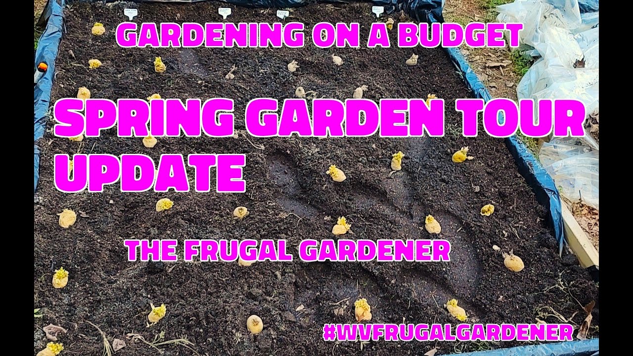 Spring 🌱 Garden Tour Update  #wvfrugalgardener