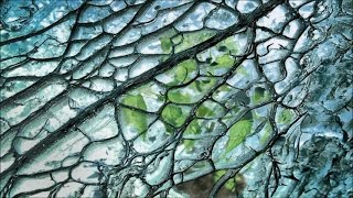 Bluetech 667 - Kayla Scintilla Remix by Zonenight Wildboys