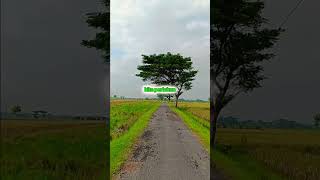 Download lagu Bila Kita Ikhlas - Ebiet G Ade #liriklagu #laguindonesia #musik mp3 Download lagu Bila Kita Ikhlas - Ebiet G Ade #liriklagu #laguindonesia #musik mp3