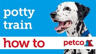 How to Potty Train Your Puppy (Petco)
