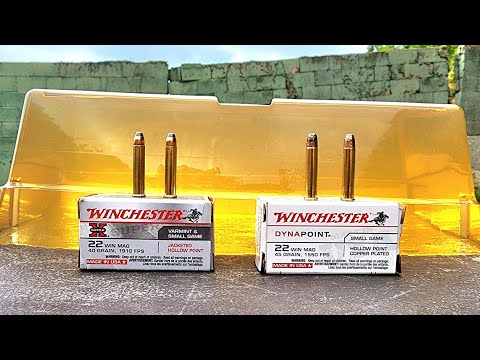 Winchester Super X 40gr .22wmr VS Winchester Dyna Point 45gr .22wmr Ballistic Gel Test 22 Magnum