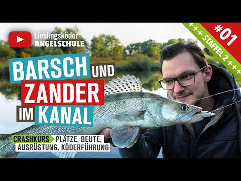 Barsch und Zander Angeln am Kanal (Staffel 2, Folge 1)