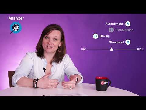 Meet the Analyzer | PI Behavioral Assessment Reference Profile