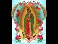 LA GUADALUPANA EMMANUEL Y ALEXANDER ...