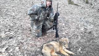 Coyote trapping with David Williams  February 2014