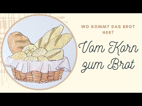 Vom Korn zum Brot: Wo kommt das Brot her?