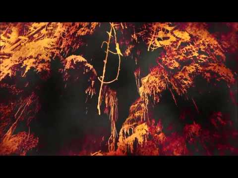 ASBAAR   The Evening Star