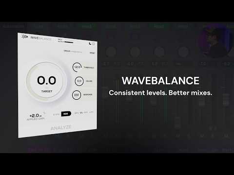 Free Download WaveBalance v1.0.6 AAX VST3 x64 WiN-R2R