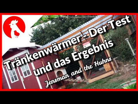 033 Tränkenheizer - Test + Ergebnis - Jensman and the Huhns🐔
