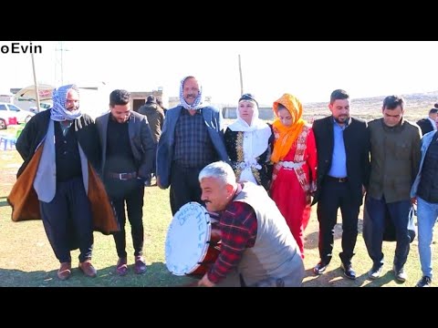 ŞEVKO HALAYI 2021 (NURİ AMCA)