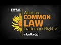 What Are Common Law Trademark Rights?