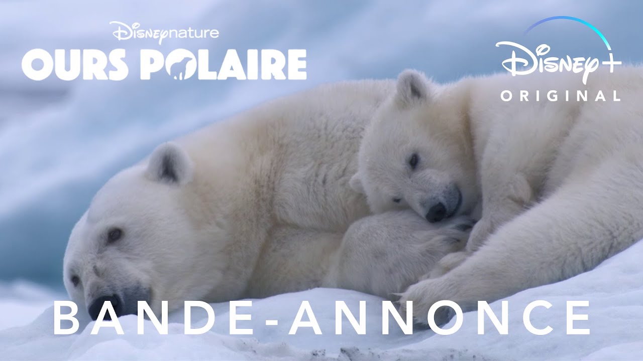 Miniature de la vidéo Ours polaire - Bande Annonce [VF] du film Ours polaire