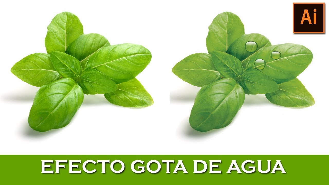 EFECTO GOTITA DE AGUA EN ILLUSTRATOR TUTORIAL