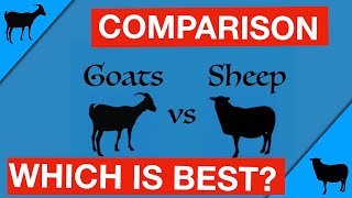 Goats vs Sheep: Which Is Right for You?