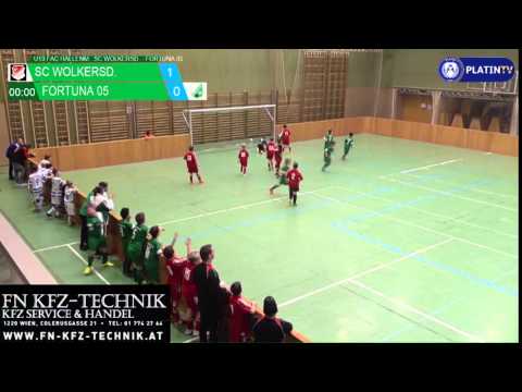 Tor -  SC Wolkersd. / Fortuna 05 am 27.02.2016 10:05