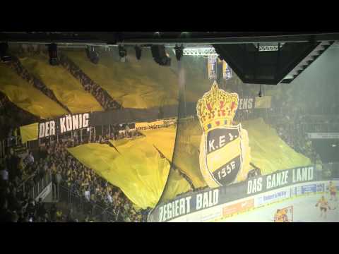 Krefeld Pinguine Saisonhighlight 2014 Es geht um alles von Futsch Wedler