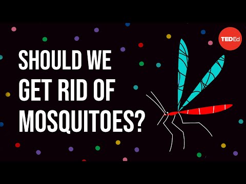 Yes, We Should Get Rid of Mosquitos