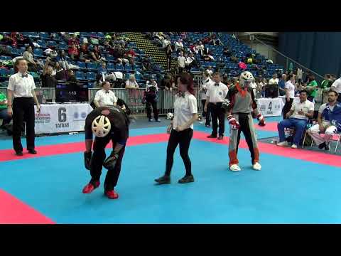 Konstantinos Damias v Jose Santiago Hungarian Kickboxing World Cup 2019