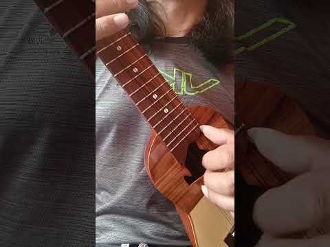 De Ushuaia a la Quiaca Charango (Fragmento) 🎵🎶🎵 #charango #folklore #jujuy