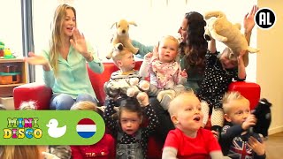 In Holland Staat Een Huis - DD Company - Kinderliedjes - Minidisco