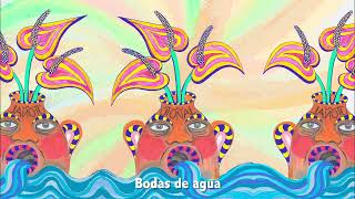 Music video thumbnail preview for Aterciopelados - Otoñal by Aterciopelados