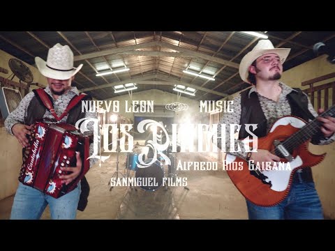 Los Rinches - Alfredo Galeana (En Vivo)