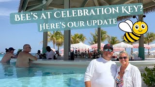 Celebration Key: Bee issue update including Pearl Cove + What’s Being Done! | Carnival Cruise 2025