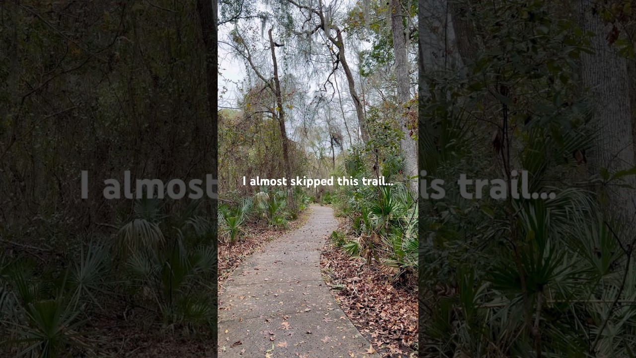 Is Tommy Hazouri Sr. Park Worth Visiting? | Easy Trail Review – Jacksonville, FL
