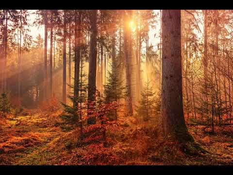 Alex Bartlett feat. Anthya - Touch the Sun (Duende Dub Remix) [2007] HQ