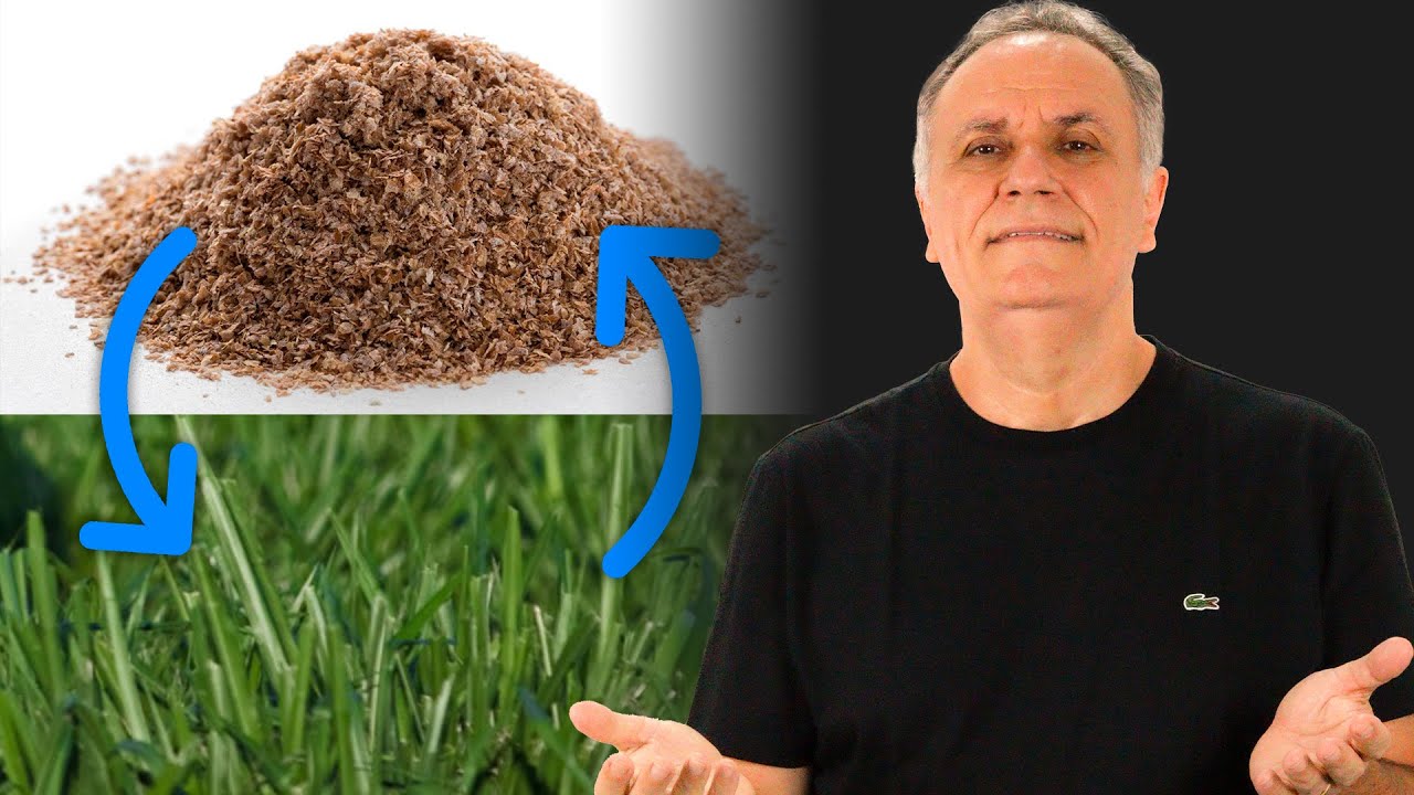 Quando o suplemento substitui o pasto?