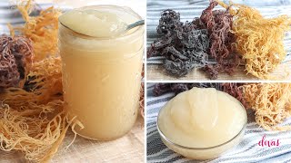How To Make SEA MOSS GEL!  In 3 Easy Steps!