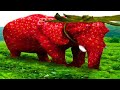 Strawberry Elephant Meme