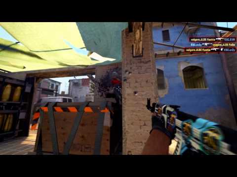 GamePlan Pro League: flash vs. ESC