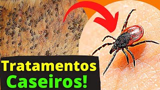 REMEDIO PARA CARRAPATO DE CACHORRO Caseiro Completo COMO ELIMINAR PULGAS DOS CÃES E DO QUINTAL