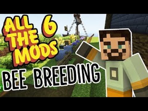 All The Mods 6 Feed The Bees! Ep. 4 WHAT'S IN THE BARRELS?!