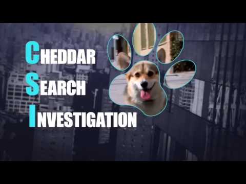 BROOKLYN NINE-NINE 3x18 - CHEDDAR