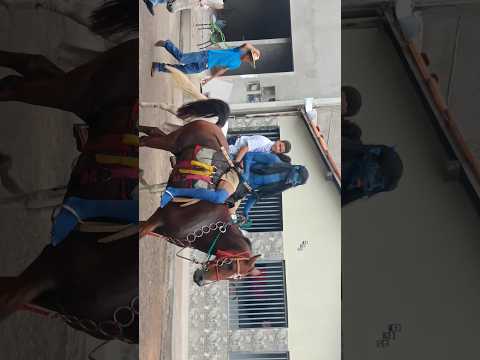 O AVATAR de Sitio Novo do Tocantins!!