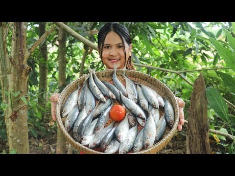 Awesome Cooking Fish With Tomato Dilecious Cook Recipe - Yummy Eating Show No Talking