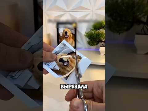 🐣 девушка нашла гениальный способ сохранить память о своей собаке #шортс