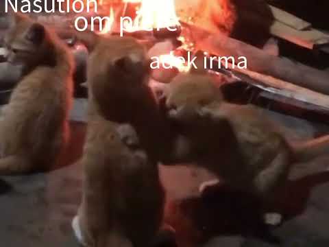 Begitulah kalo jadi kakak🗿