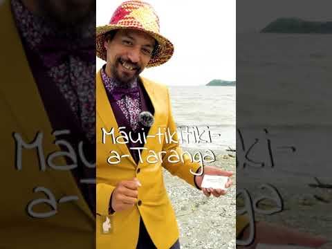 Te Ika a Maui - Tangata Tumatarau