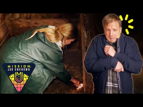 Breakfast Challenge: Ängstliche Promis im dunklen Stall | Mission: Job Unknown | ProSieben