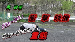 角　珍宝　VS　謙信　ラジコン対決！！